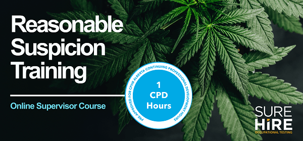 RST Online Supervisors CPD RST for Supervisors