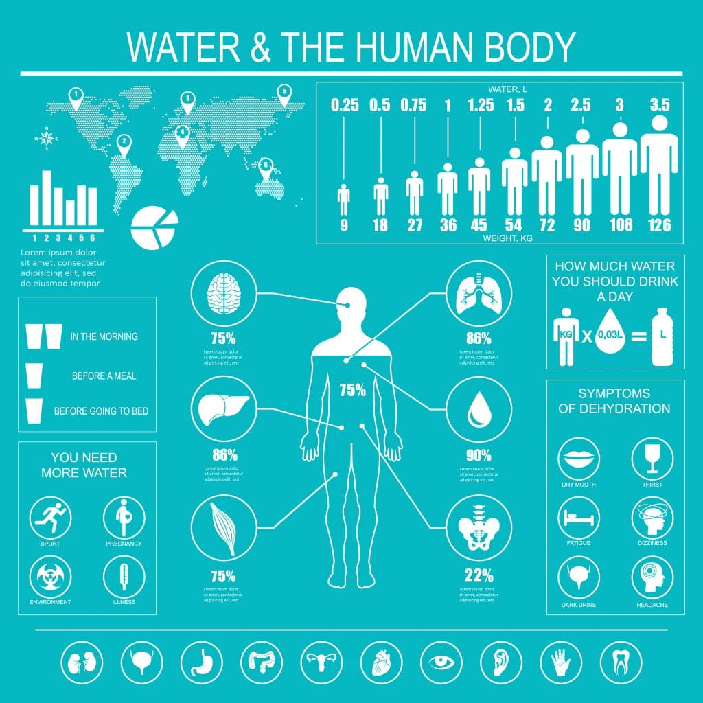 Water and human body 
