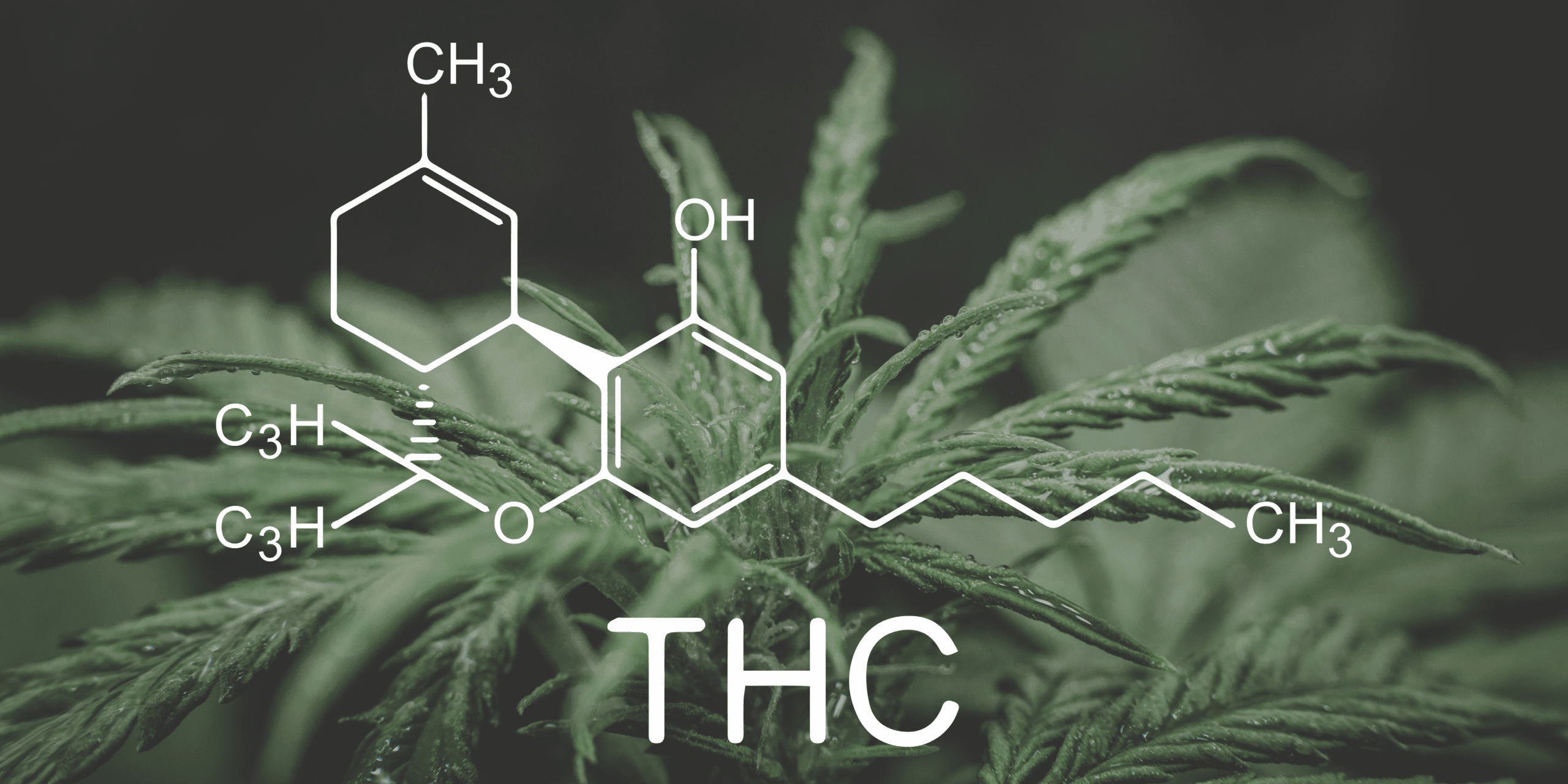 High THC Marijuana Use and Emotional well-being