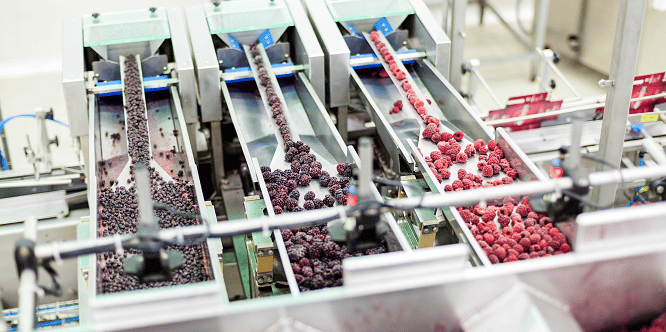 Frozen fruit manufacturing business